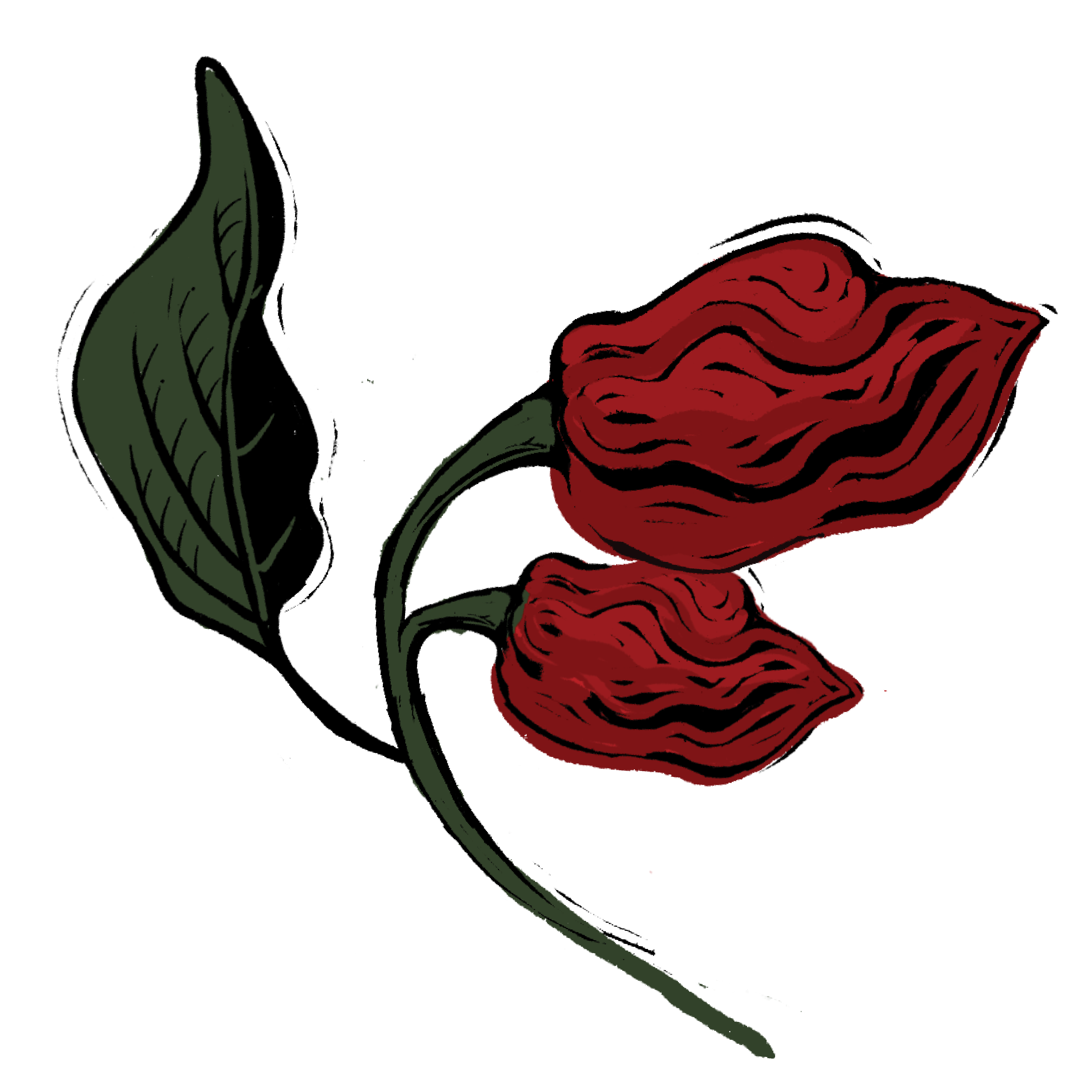 Carolina_Reaper.png