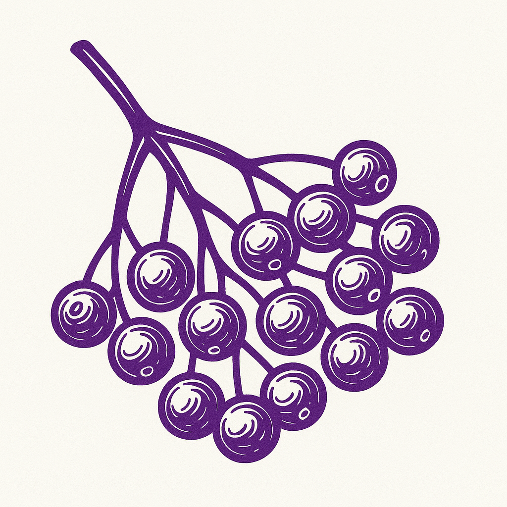 ChatGPT_Image_Oct_15_2025_08_35_47_PM.png