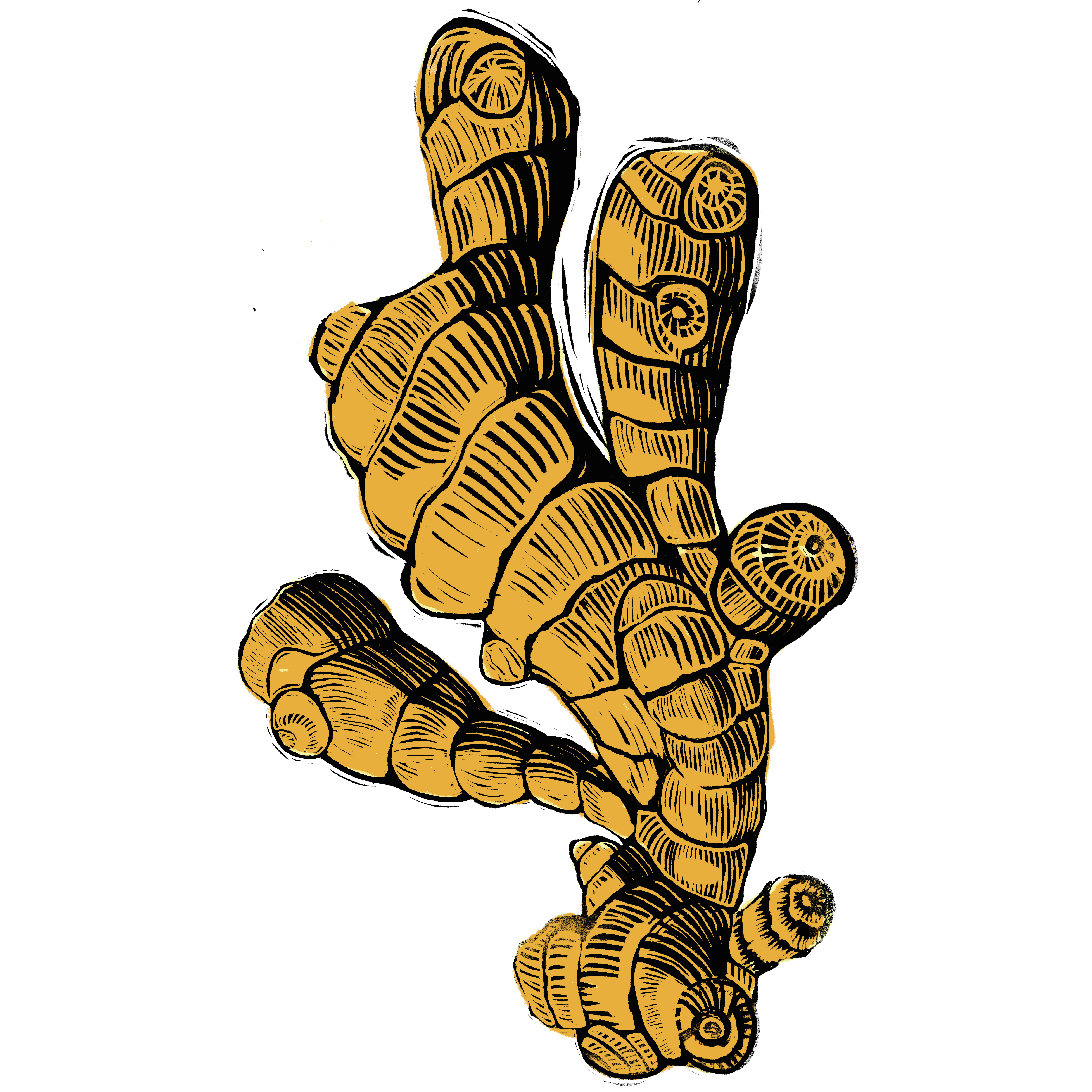 Turmeric.png